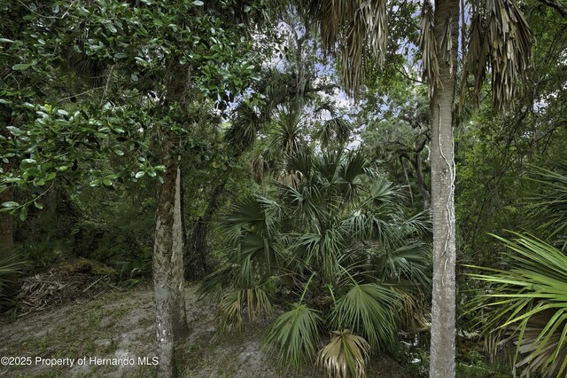 5747 Fieldspring Ave, New Port Richey, FL 34655 - photo 71