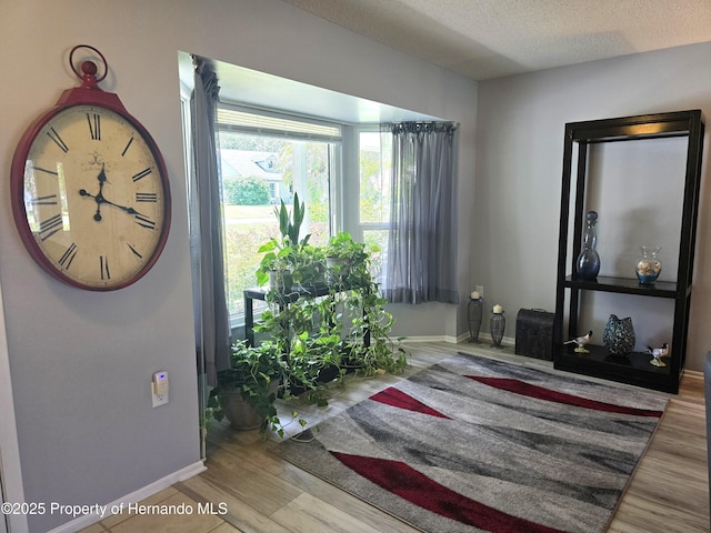2429 Birdie Ln, Spring Hill, FL 34606 - foyer with wood finished floors and a textured ceiling