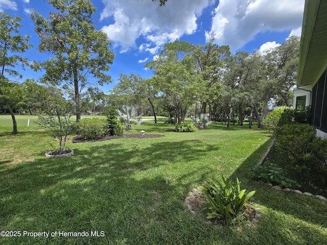 2429 Birdie Ln, Spring Hill, FL 34606 - view of grassy yard
