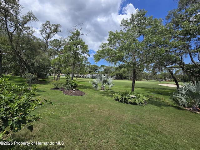 2429 Birdie Ln, Spring Hill, FL 34606 - view of grassy yard