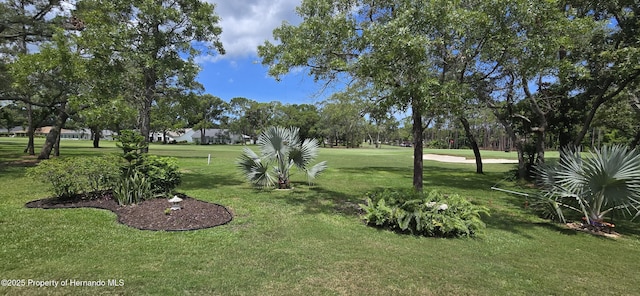 2429 Birdie Ln, Spring Hill, FL 34606 - view of green lawn