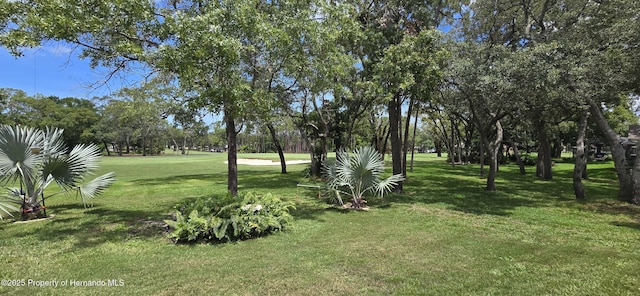 2429 Birdie Ln, Spring Hill, FL 34606 - view of grassy yard with view of scattered trees
