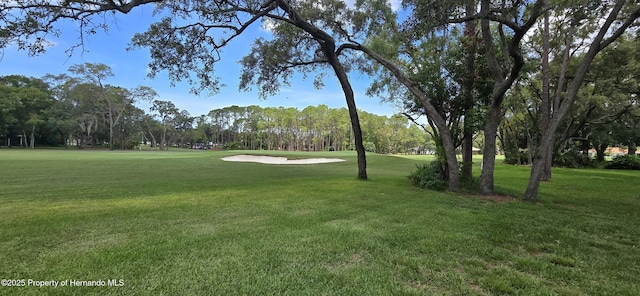 2429 Birdie Ln, Spring Hill, FL 34606 - view of home's community featuring view of scattered trees, a yard, and golf course view