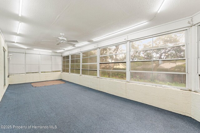 6058 Waycross Dr, Spring Hill, FL 34606 - photo 28