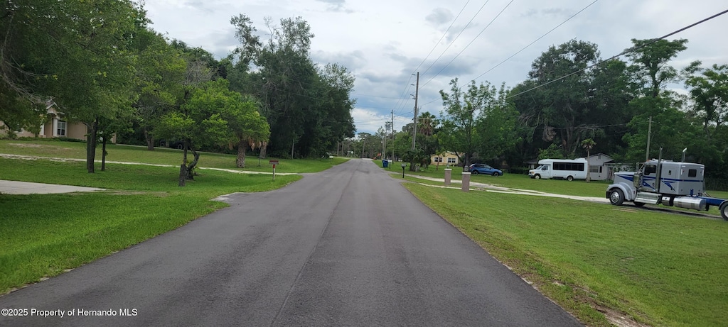 0 Emerald Dr, Ridge Manor, FL 33523 - photo 2
