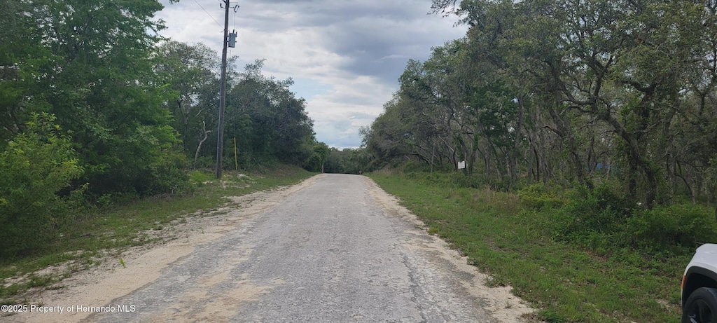 0 Manuel, Ridge Manor, FL 33597