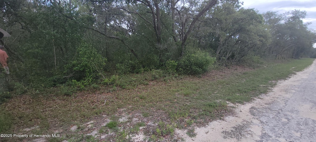 0 Manuel, Ridge Manor, FL 33597