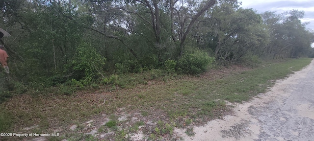 0 Manuel, Ridge Manor, FL 33597