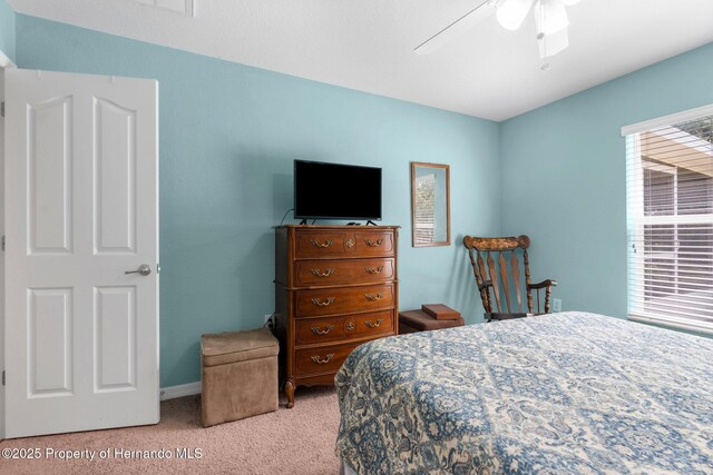 13444 English Parrot Rd, Weeki Wachee, FL 34614 - photo 30