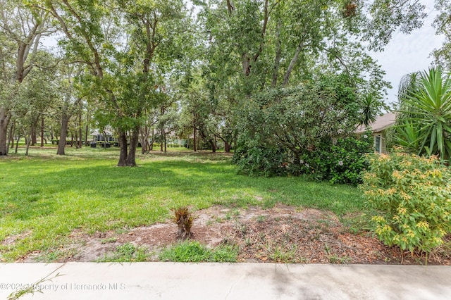 2481 Whispering Pines Ct, Spring Hill, FL 34606 - view of green lawn