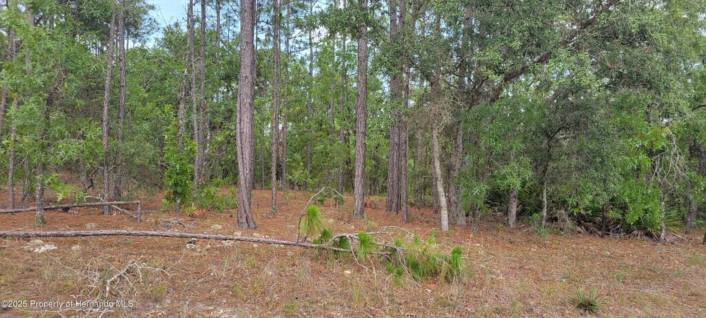 7253 N Dustin Ter, Citrus Springs, FL 34434 - photo 1