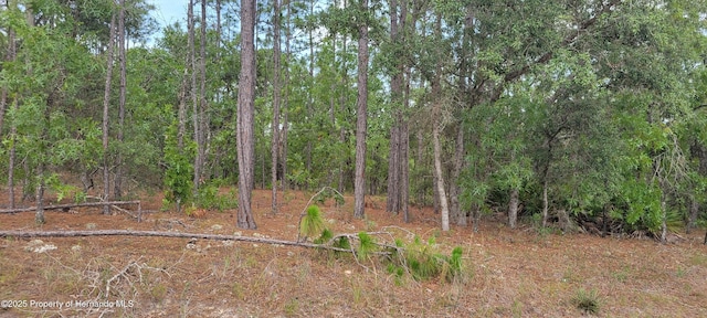 7253 N Dustin Ter, Citrus Springs, FL 34434 - photo 1