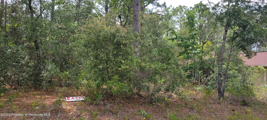 7062 N Tallwood Dr, Citrus Springs, FL 34434 - photo 1