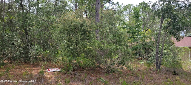 7062 N Tallwood Dr, Citrus Springs, FL 34434 - photo 1