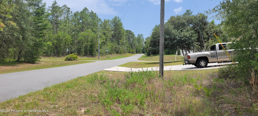 7062 N Tallwood Dr, Citrus Springs, FL 34434 - photo 3