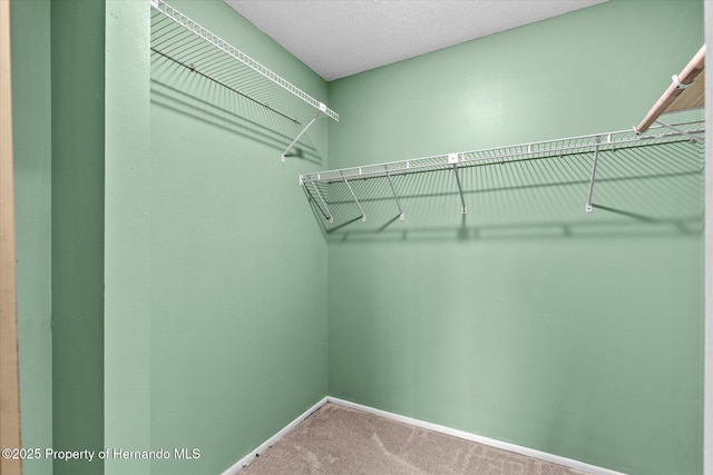 2450 Ambassador Ave, Spring Hill, FL 34609 - spacious closet featuring carpet floors