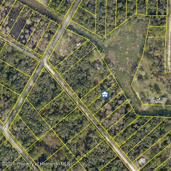 LOT7 NW Ave, Webster, FL 33597 - photo 1