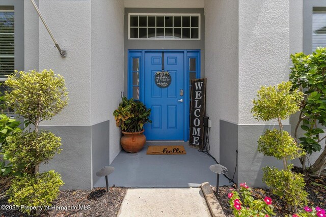 13365 Chesapeake Pl, Spring Hill, FL 34609 - photo 10