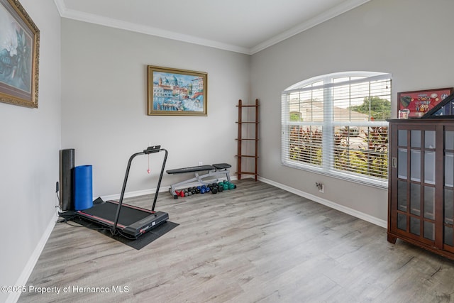 22316 Red Jacket, Land O Lakes, FL 34639 - exercise room with wood finished floors, ornamental molding, and baseboards