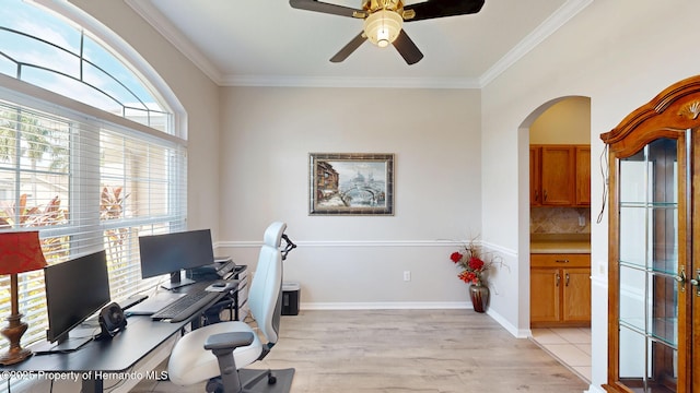 22316 Red Jacket, Land O Lakes, FL 34639 - office space featuring ceiling fan, arched walkways, crown molding, and light wood-style floors
