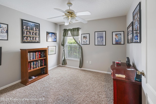 22316 Red Jacket, Land O Lakes, FL 34639 - office with ceiling fan, carpet flooring, baseboards, and a textured ceiling
