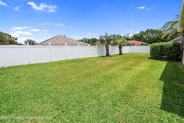 22316 Red Jacket, Land O Lakes, FL 34639 - view of yard