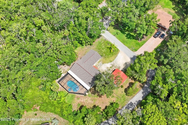 9766 W Smokey Ln, Crystal River, FL 34429 - aerial view