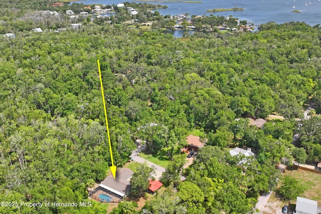 9766 W Smokey Ln, Crystal River, FL 34429 - aerial overview of property's location with a large body of water and a forest