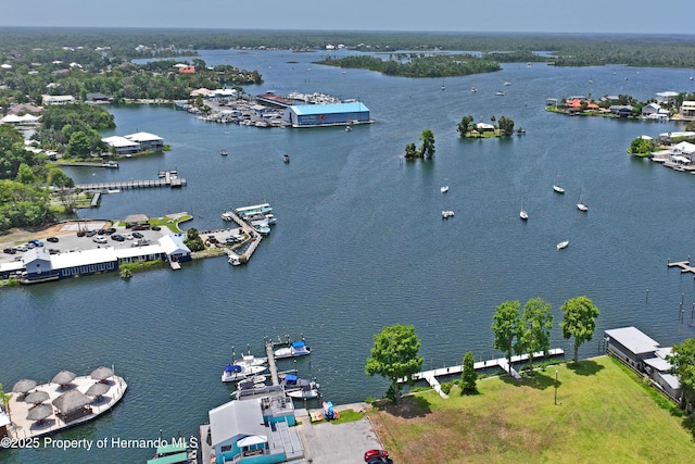 9766 W Smokey Ln, Crystal River, FL 34429 - aerial view of a large body of water