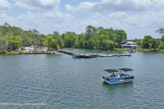 9766 W Smokey Ln, Crystal River, FL 34429 - water view with a floating dock