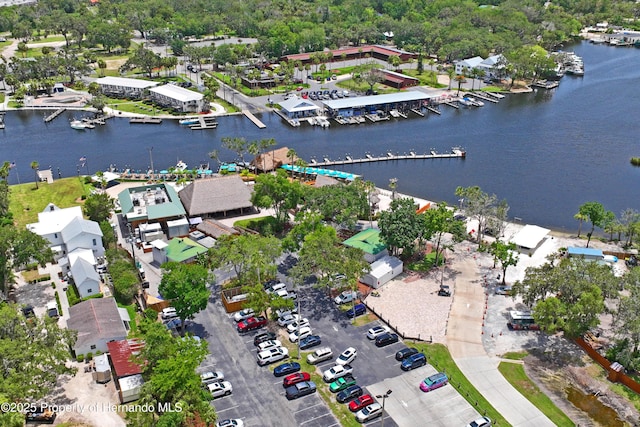 9766 W Smokey Ln, Crystal River, FL 34429 - aerial overview of property's location with a nearby body of water and a marina