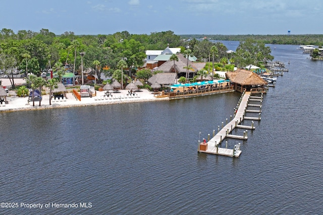 9766 W Smokey Ln, Crystal River, FL 34429 - water view