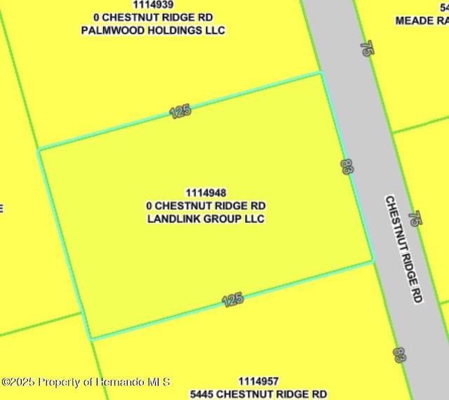 5449 Chestnut Ridge Rd, Dade City, FL 33523