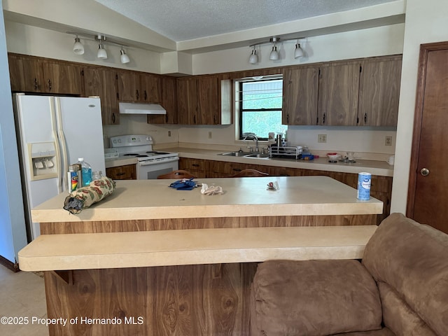 7239 Lykes Dublin Rd, Brooksville, FL 34601 - kitchen featuring white appliances, a sink, under cabinet range hood, light countertops, and a textured ceiling