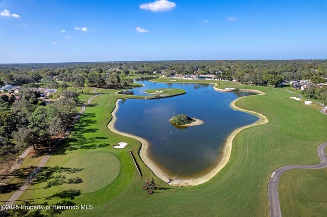 2486 Deer Trail Ln, Spring Hill, FL 34606 - view of property location with a nearby body of water and a local golf course
