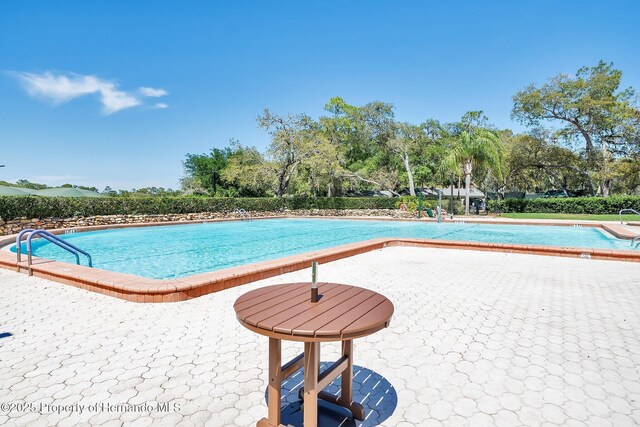 2486 Deer Trail Ln, Spring Hill, FL 34606 - community pool with view of scattered trees and a patio area