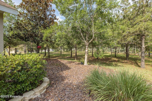 11404 Inman Ct, Spring Hill, FL 34609 - view of yard