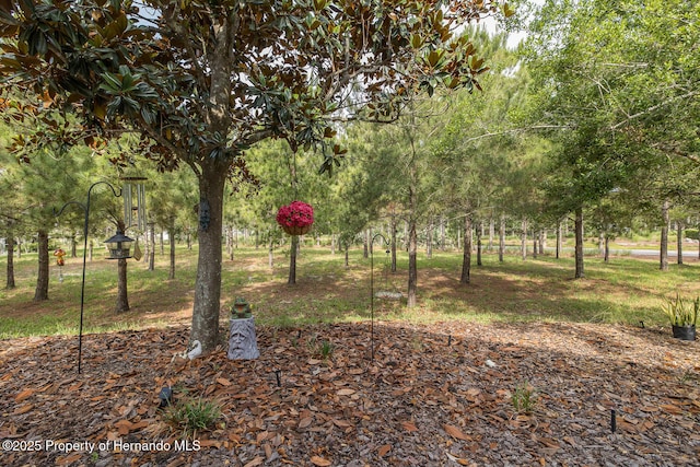 11404 Inman Ct, Spring Hill, FL 34609 - view of yard
