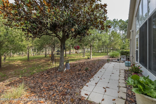 11404 Inman Ct, Spring Hill, FL 34609 - view of yard with view of wooded area