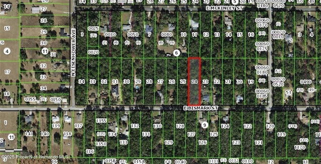 1191 E Bismark St, Hernando, FL 34442