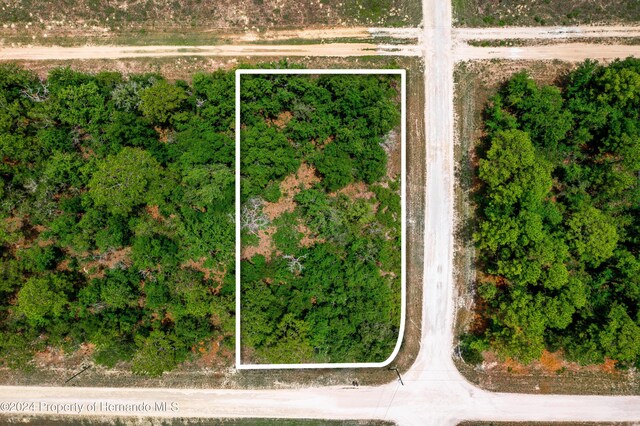 13500 Downy Woodpecker Rd, Weeki Wachee, FL 34614