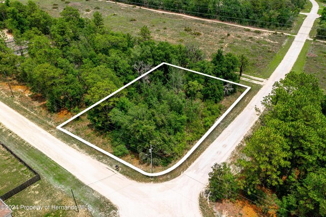 13500 Downy Woodpecker Rd, Weeki Wachee, FL 34614