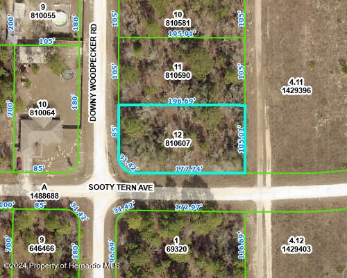 13500 Downy Woodpecker Rd, Weeki Wachee, FL 34614