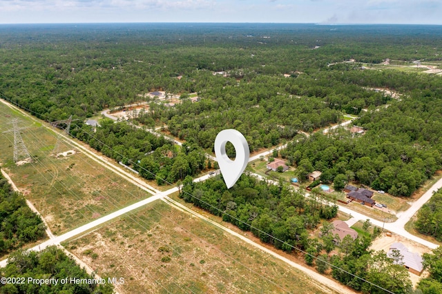 13500 Downy Woodpecker Rd, Weeki Wachee, FL 34614
