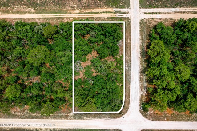 13500 Downy Woodpecker Rd, Weeki Wachee, FL 34614