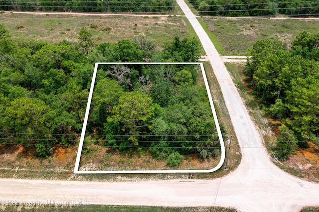 13500 Downy Woodpecker Rd, Weeki Wachee, FL 34614