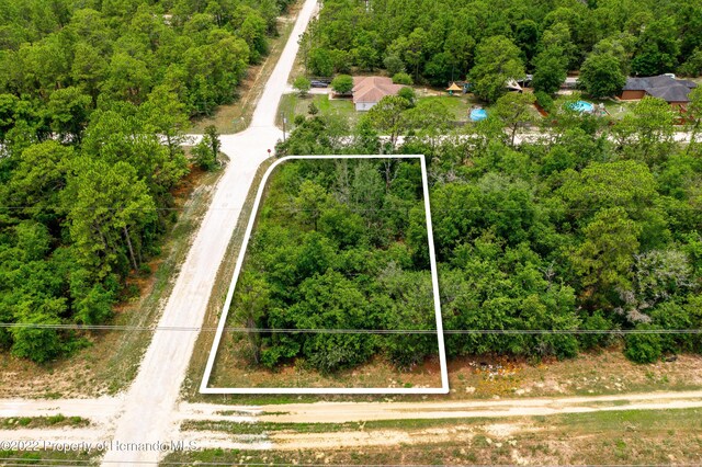 13500 Downy Woodpecker Rd, Weeki Wachee, FL 34614
