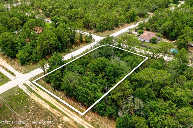 13500 Downy Woodpecker Rd, Weeki Wachee, FL 34614