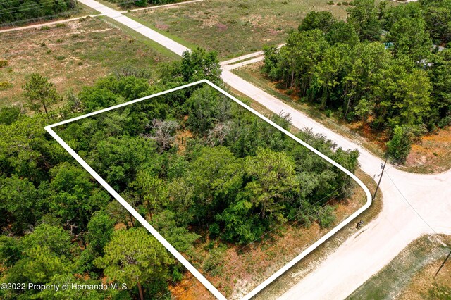 13500 Downy Woodpecker Rd, Weeki Wachee, FL 34614