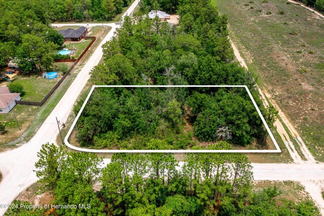 13500 Downy Woodpecker Rd, Weeki Wachee, FL 34614